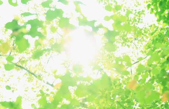 厚木ではり・きゅう・マッサージの施術で薬を使わずにからだの異常を和らげる、みこころ鍼灸マッサージ院